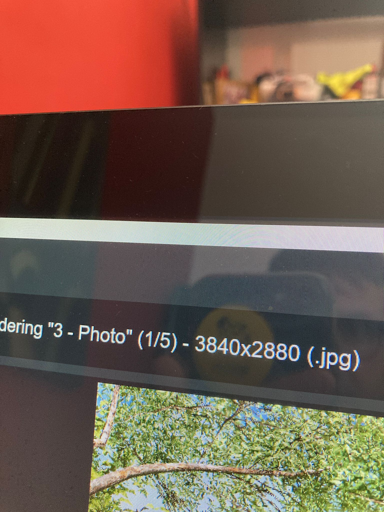 2.jpeg